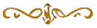 bottom-icons